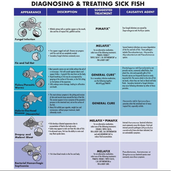 🐠API Melafix Freshwater Fish Infection Remedy🐠NEW - Picture 6 of 9